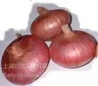 ʳƷ����ζ����з�