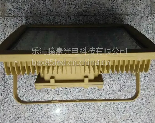 供应TengHao︻GTD513|Y︻防爆泛光灯LED︻100W︻投光灯 5
