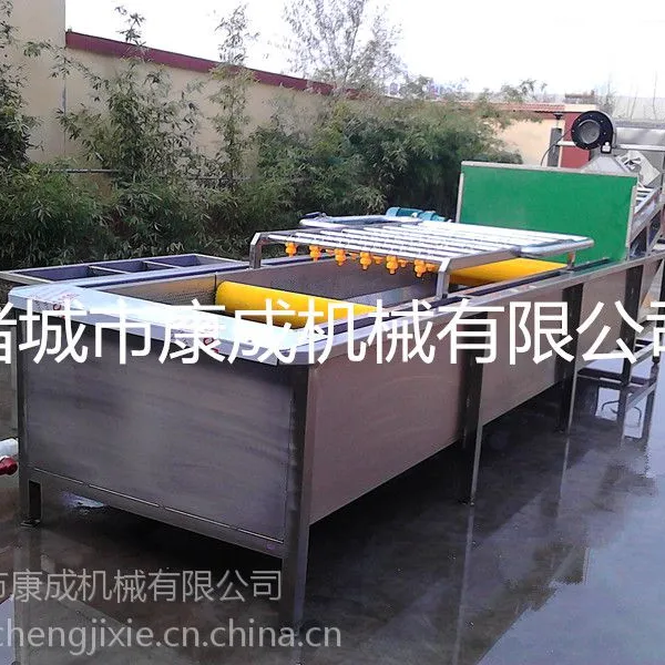 ��֦��ϴ������ְ�ʽɳ������ϴ�豸��������