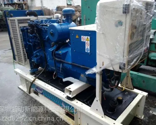 ������ͷӦ�����������-��˹��˹150KW�������***
