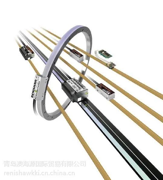 RenishawӢ��������RGS20-S��դ���ֻ�