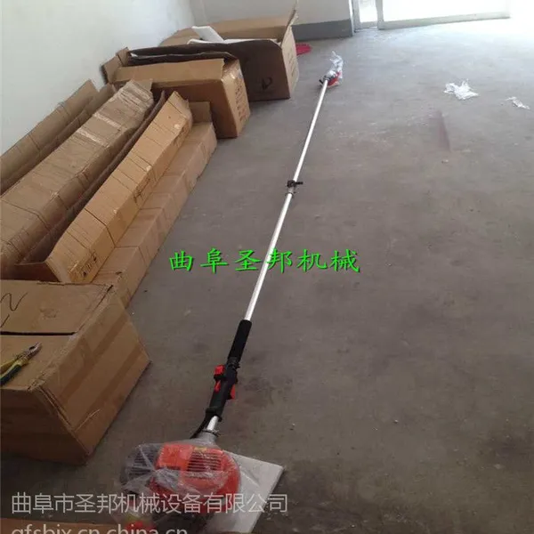 ���Լ۱����ͷ�ľ��֦�� ��Ʒ��3�׳�����ʽ��֦��