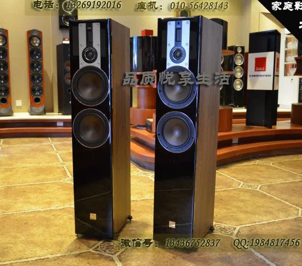 达尼OPTICON 6 欧典6号 落地HIFI音箱 家庭影院音响原装进口