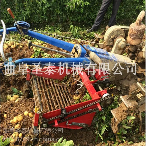 红薯收获机的价格/ 薯类收获机厂家曲阜圣泰机械