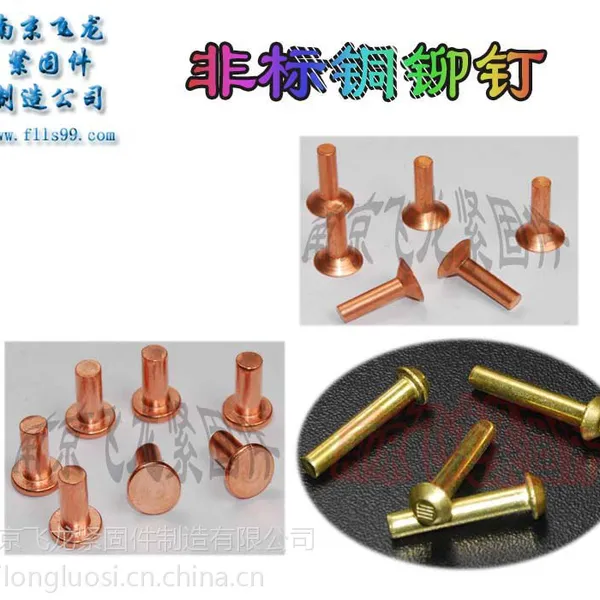 供应南京飞龙铜质非标铆钉厂家