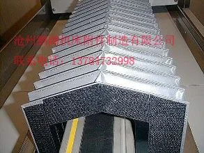 ���������͸ְ嵼���������������