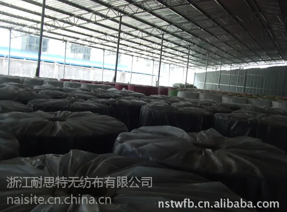 丙纶PP无纺布 厂家直销无纺布 彩色现货无纺布 优质丙纶无纺布