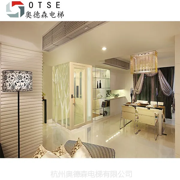 【OTSE】郑州家用别墅小型电梯 专业制造家用电梯厂家
