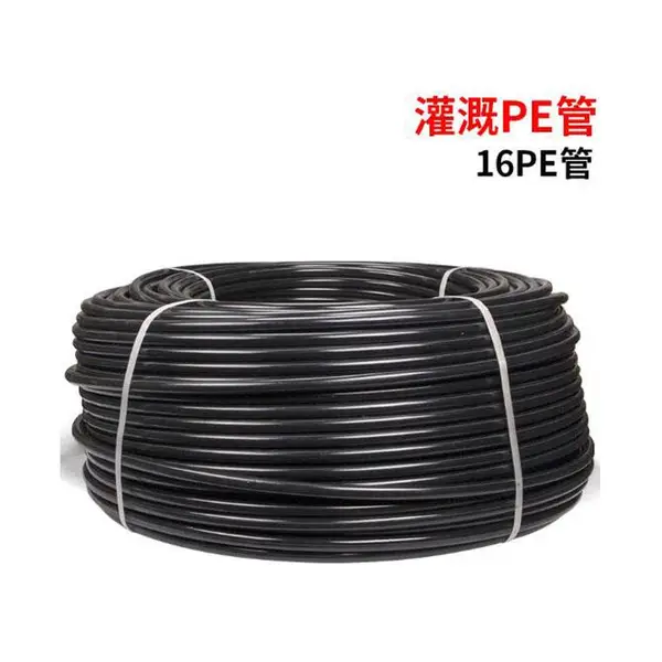 ����ֱ�����ʦ�16mm�ι��***��