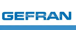 GEORGIN差压开关