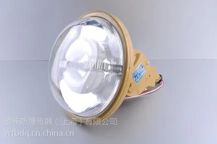 专业防爆无极灯渝荣防爆***
