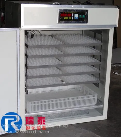 瑞泰880枚全自动小鸡孵化机