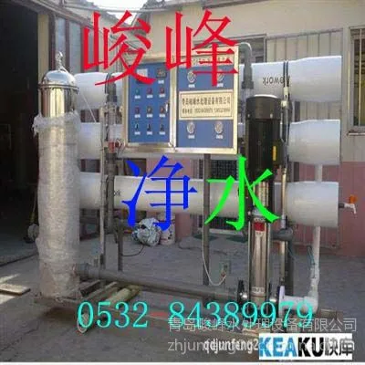 莱阳地下水井水纯净水设备|JF专业厂家0.25T|全自动标配