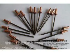 铜封闭型拉铆钉铆接处钉芯不生锈铜铆体 / 不锈钢钉芯