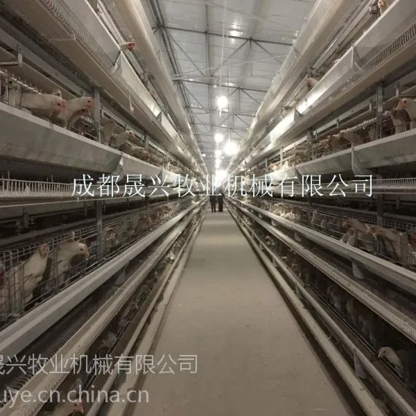 晟兴牧业供应9CLXD-5300型蛋鸡养殖设备