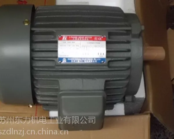 苏州东力电机大型异步电机