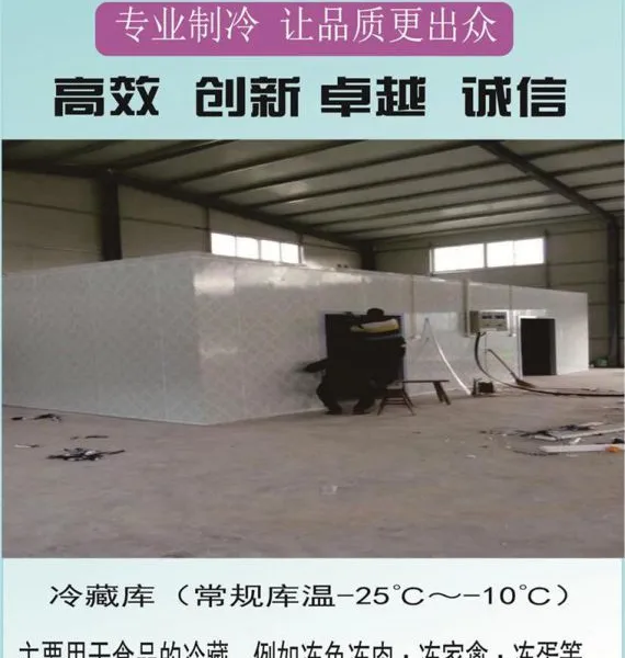 温州冷藏库 环通专业定制冷库
