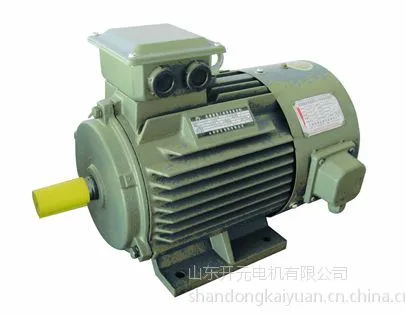 厂价直销 YVF 355L2-4-315专用变频电机-山东开元