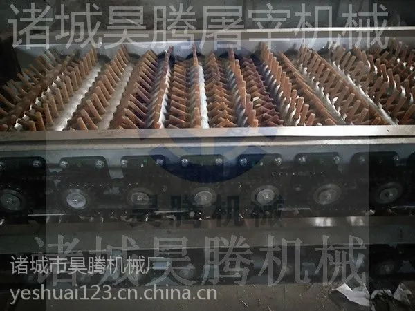 肉鸽宰杀脱毛机 浸烫池流水线及配件诸城昊腾机械厂