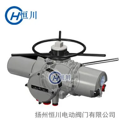 IQ12罗托克电动执行机构