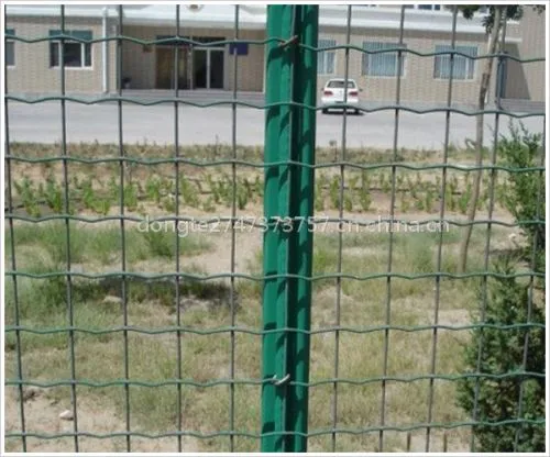 道路护栏网|绿色铁丝网|浸塑护栏网|养殖网|东特金属