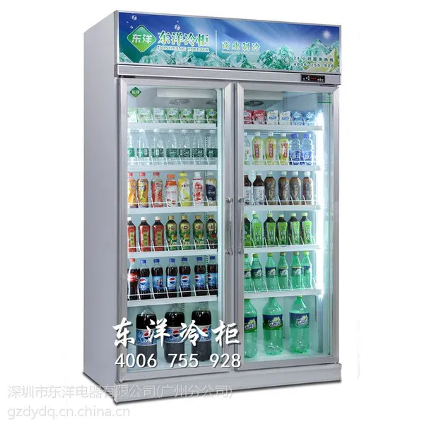 东洋便利店牛奶柜 酸乳制品冷藏柜 韶关冰柜生产商 两门风冷饮料展示柜