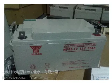 ������ǳ����NP12/100ϵ���ܴ���������������ԭװ��Ʒ***