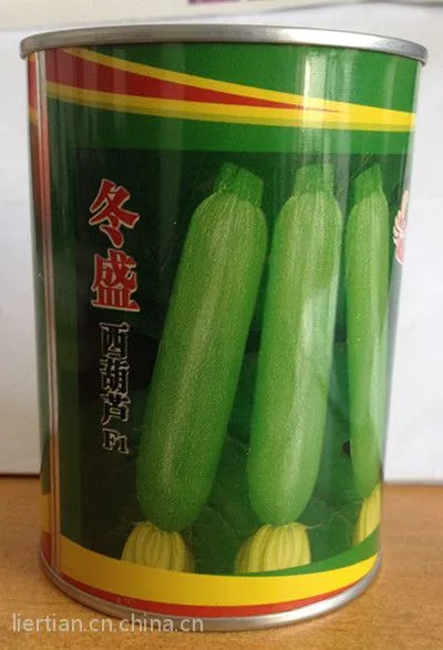 供应冬盛西葫种子