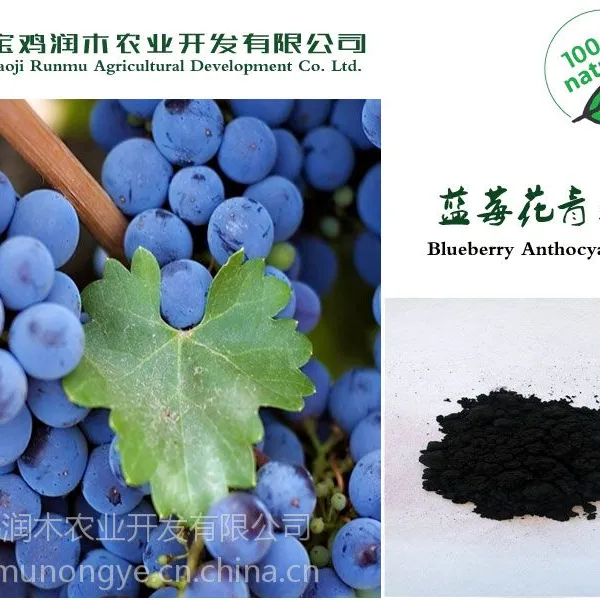 宝鸡润木 供应 蓝莓提取物 花青素 原花青素 5%-25%