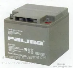 非凡蓄电池12V100AH价格参数图片生产商