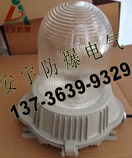 100W三防泛光灯/GC101-100(光源100W钠灯)防水防尘灯