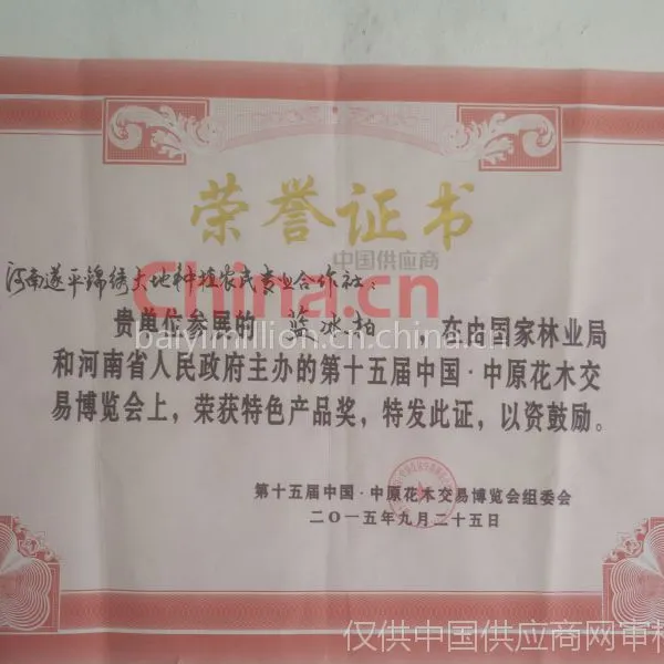 荣誉证书