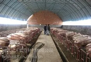 养殖温室大棚建设造价以及图片