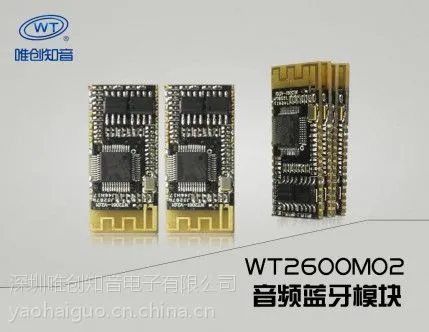 WT2600M02��Ƶ����ģ��/��������/��������ϵͳ/�����������/����������ˮ��/��������绰/