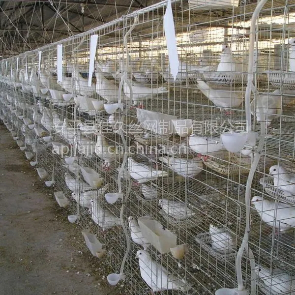 鸽笼价格 鸡笼重量 兔笼厂家大量批发销售
