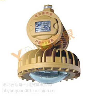 BLD190-60W隔爆型LED防爆灯<护栏式>60W防爆LED平台照明灯