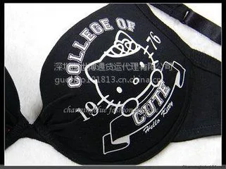 荷兰文胸进口到青岛清关服务