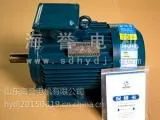 YE3系列三相异步电动机22KW-8