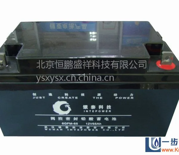 ��̩����6GFM-100 12V100Ah��̩�Ƽ������ܷ�Ǧ�����ر���