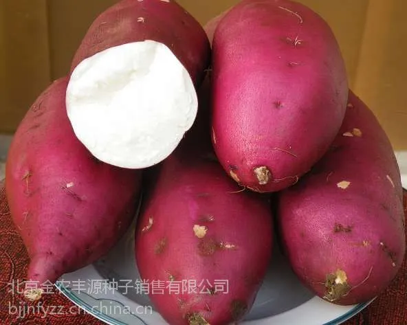 ũ��Ժ������������Ԥ����������