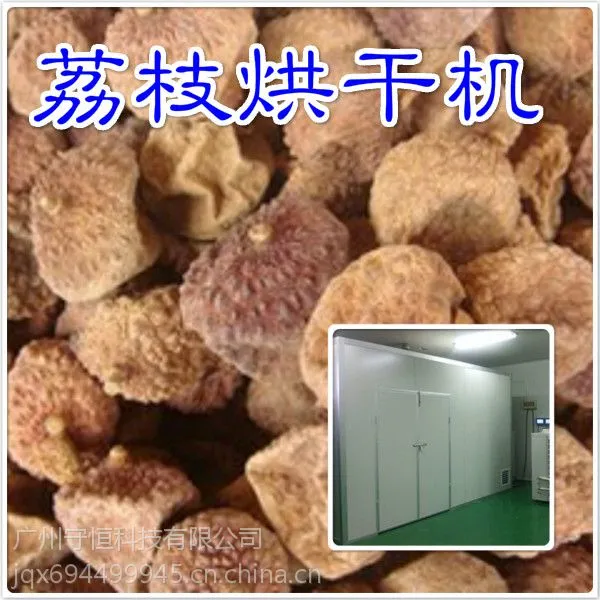 供应守恒节能荔枝烘干机 荔枝干烘房 高效干燥机