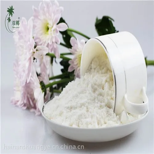 速溶椰子粉 速溶椰浆粉 椰子原浆粉 冰淇淋奶昔布丁原料 喷雾干燥工艺