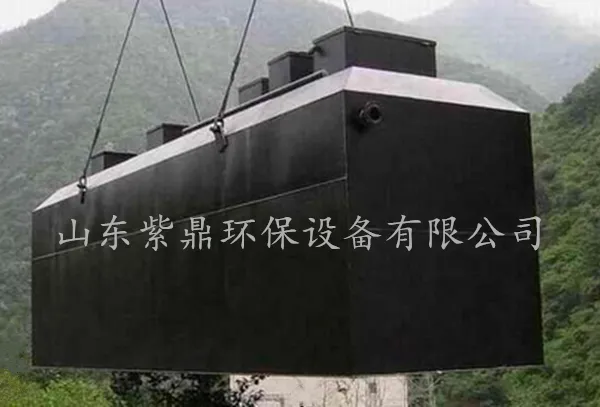 紫鼎生产供应 柠檬酸厂地埋式污水处理设备 可定制
