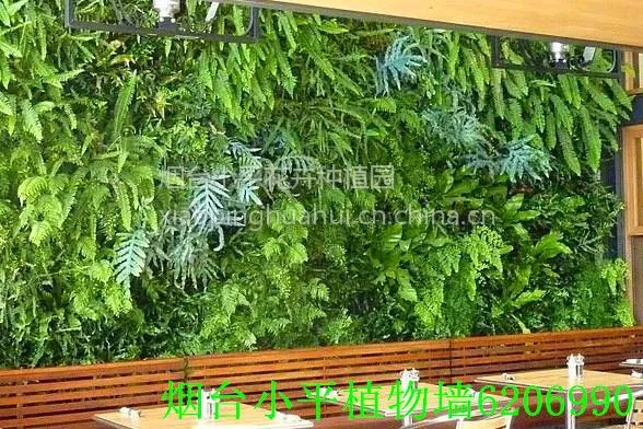 植物墙|烟台植物墙|绿植墙|室内植物墙|室外植物墙|仿真植物墙