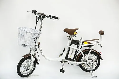 供应家用小型锂电池电动车 48v14寸助力代步自行车电单车 厂家直销新品 飞扬