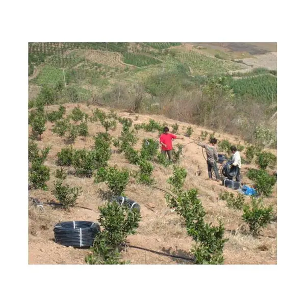 山地柑橘滴灌工程设计 滴灌工程施工 滴灌工程安装报价