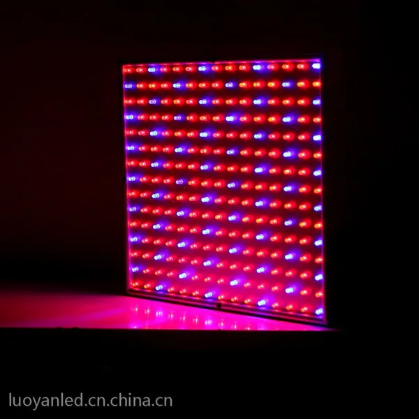 经典款14W 插件植物灯/14W植物补光灯/14W LED植物生长灯