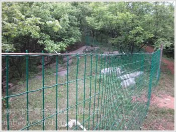 �����泡Χ�����