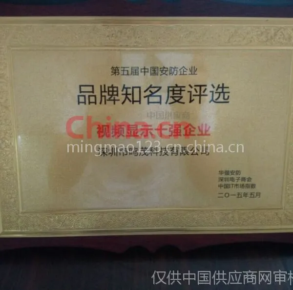 十大优秀显示端企业
