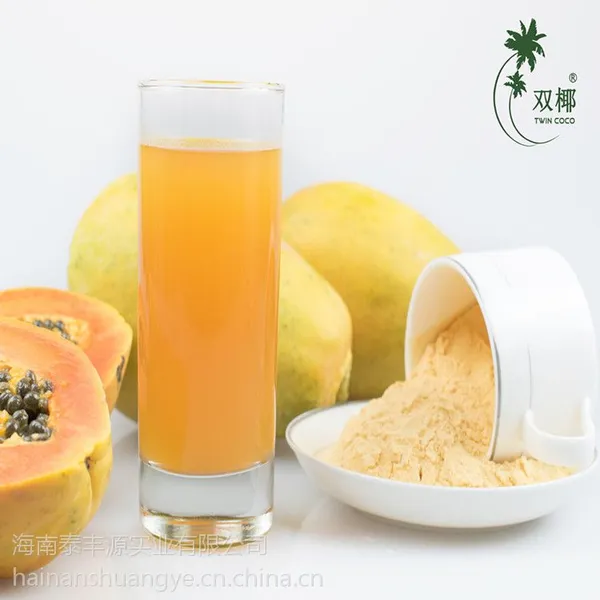 商用木瓜粉 木瓜提取物 水溶果粉 商用烘焙代餐粉原料